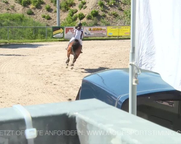 Reitturnier Plaffeien 2019