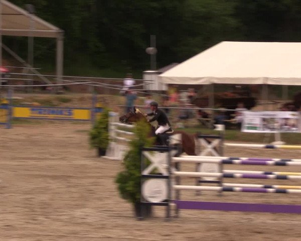 Reitturnier Lgl.-Oberhain, B95 2019