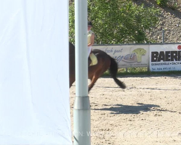 Reitturnier Plaffeien 2019