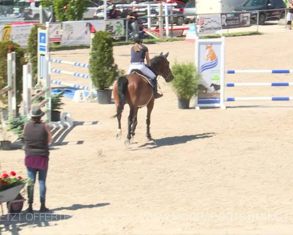 Reitturnier Plaffeien 2019
