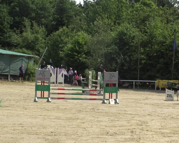 Reitturnier Bochum-Nord 2019