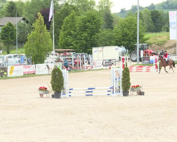Reitturnier Plaffeien 2019