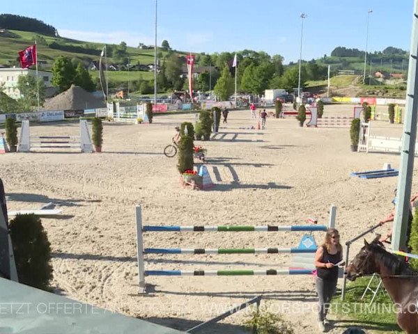 Reitturnier Plaffeien 2019