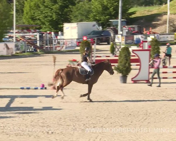 Reitturnier Plaffeien 2019