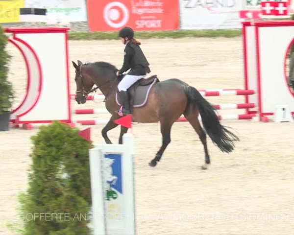 Reitturnier Plaffeien 2019