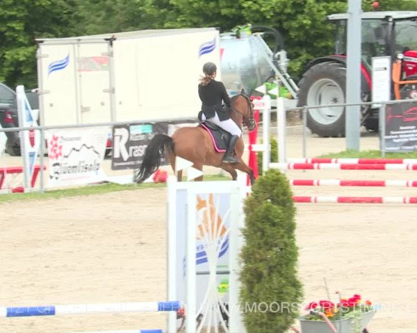 Reitturnier Plaffeien 2019
