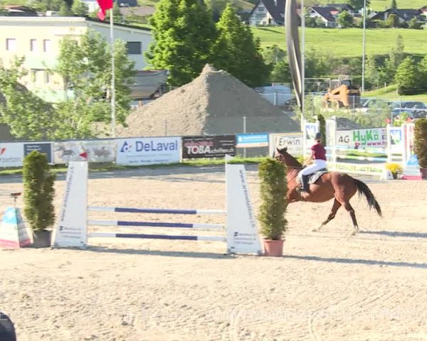 Reitturnier Plaffeien 2019
