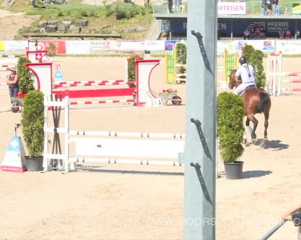 Reitturnier Plaffeien 2019