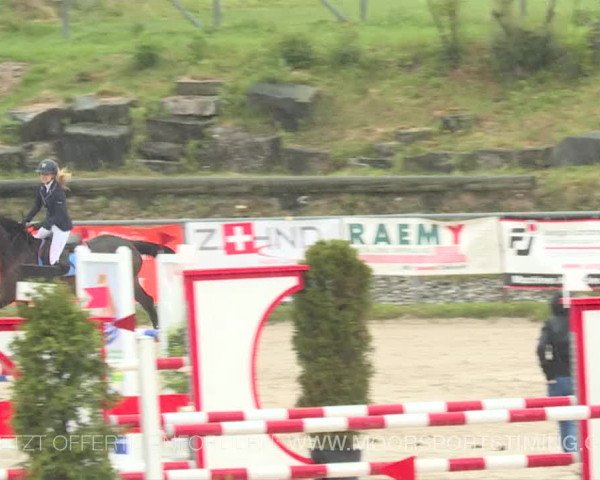 Reitturnier Plaffeien 2019