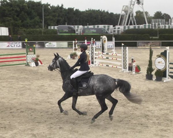 Reitturnier Durmersheim-Hardt 2021