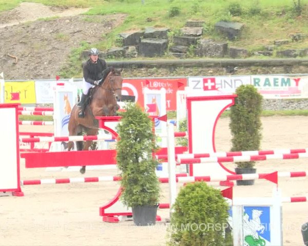 Reitturnier Plaffeien 2019