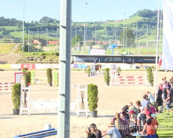 Reitturnier Plaffeien 2019