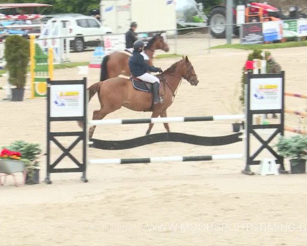 Reitturnier Plaffeien 2019