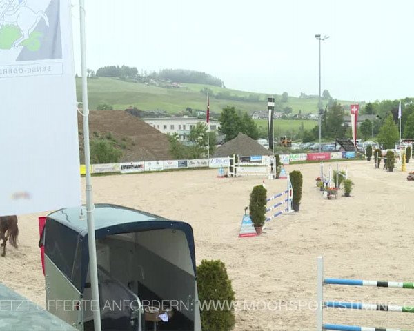 Reitturnier Plaffeien 2019