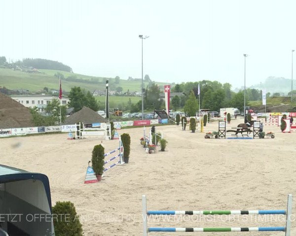 Reitturnier Plaffeien 2019