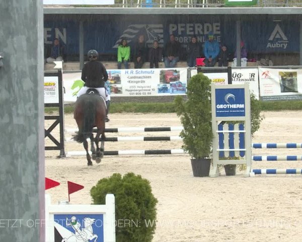 Reitturnier Plaffeien 2019