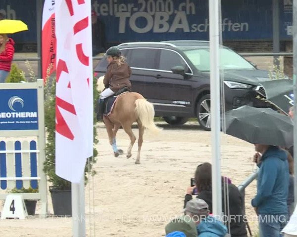 Reitturnier Plaffeien 2019