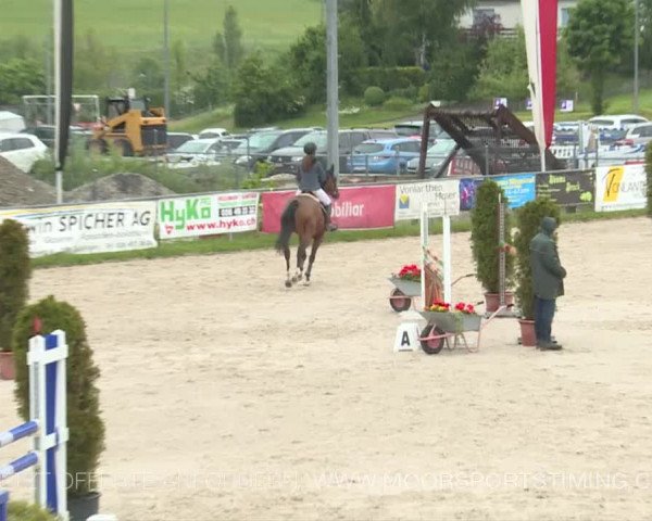 Reitturnier Plaffeien 2019