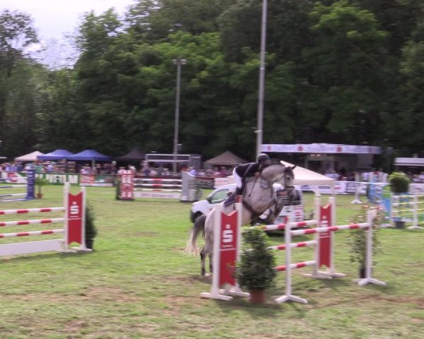 Reitturnier Borken 2019