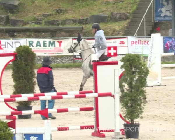 Reitturnier Plaffeien 2019