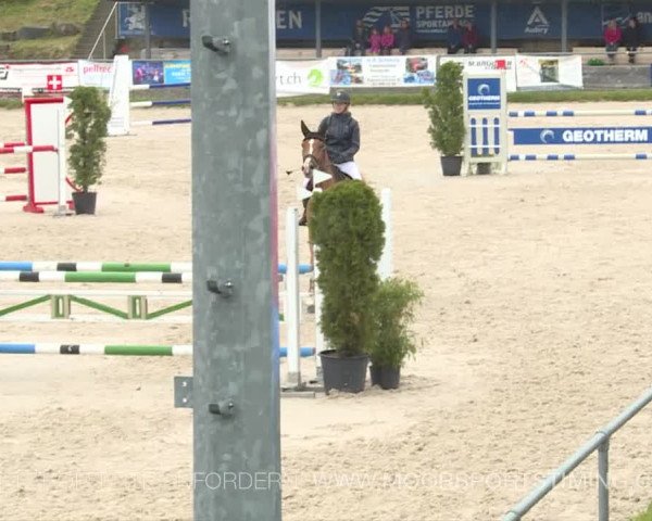 Reitturnier Plaffeien 2019