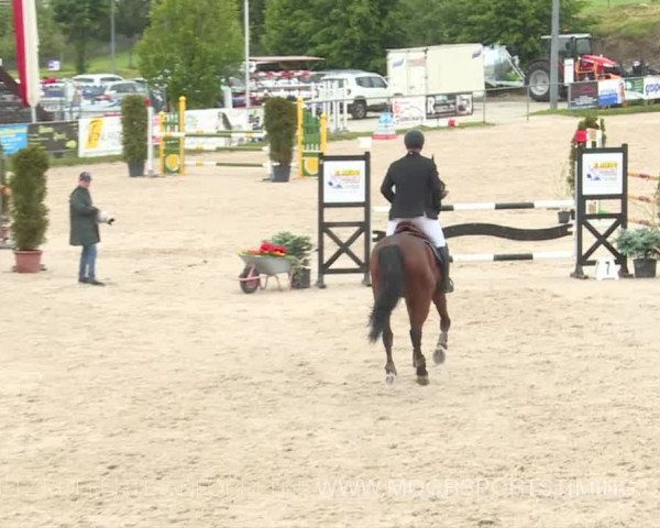 Reitturnier Plaffeien 2019
