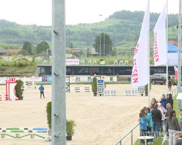 Reitturnier Plaffeien 2019