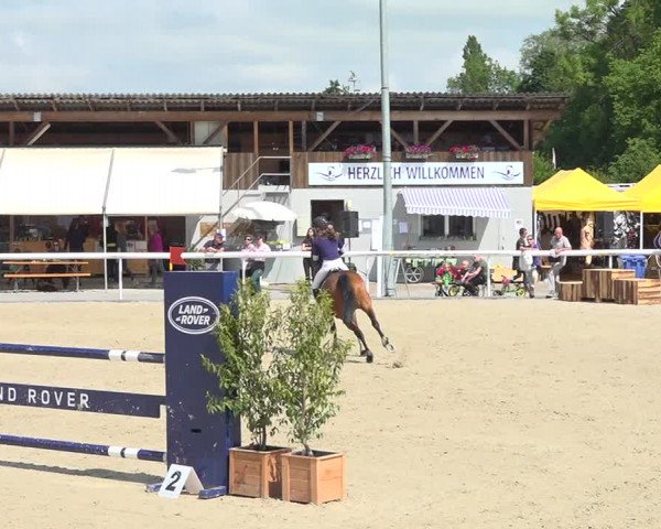Reitturnier Münsingen 2019