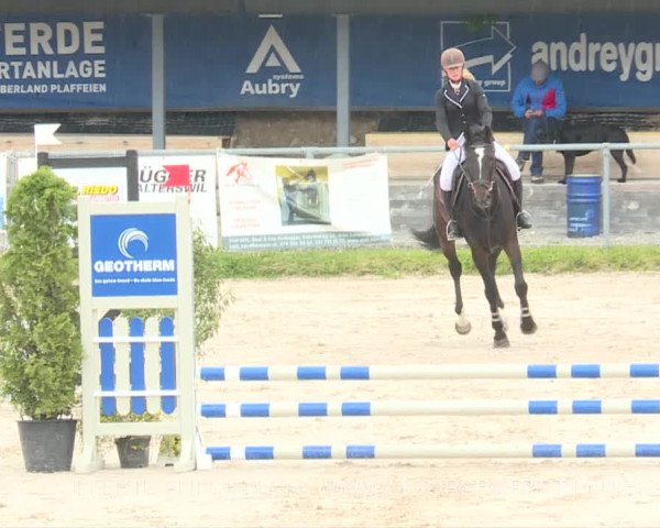 Reitturnier Plaffeien 2019