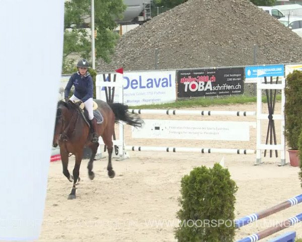 Reitturnier Plaffeien 2019