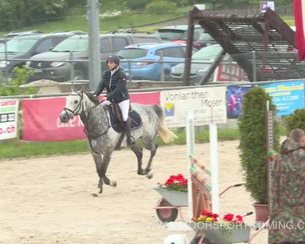 Reitturnier Plaffeien 2019