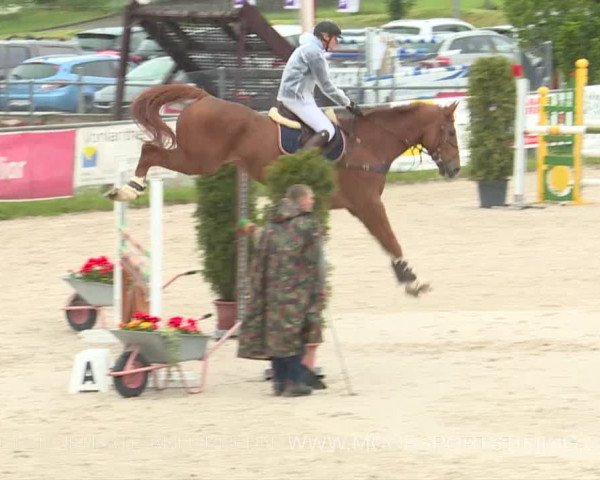 Reitturnier Plaffeien 2019