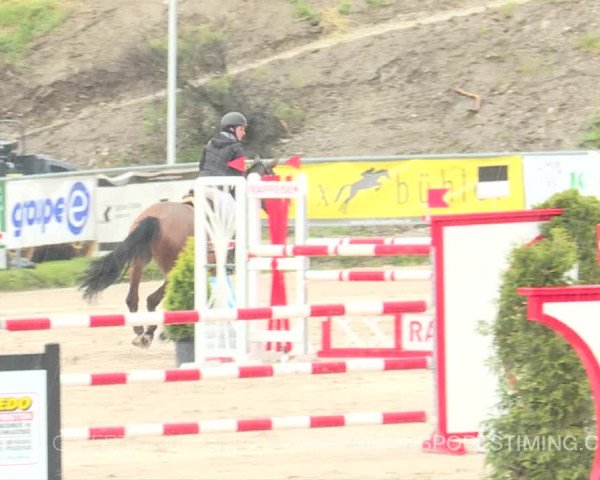 Reitturnier Plaffeien 2019