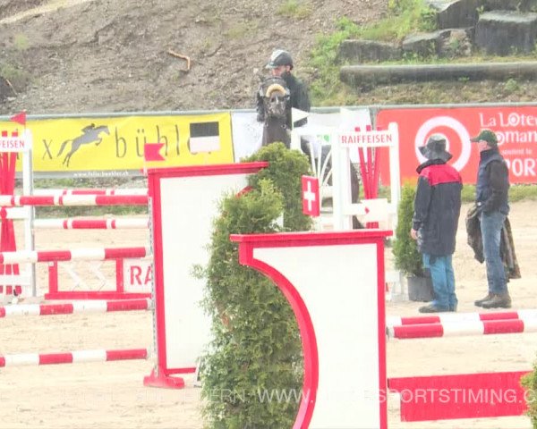 Reitturnier Plaffeien 2019