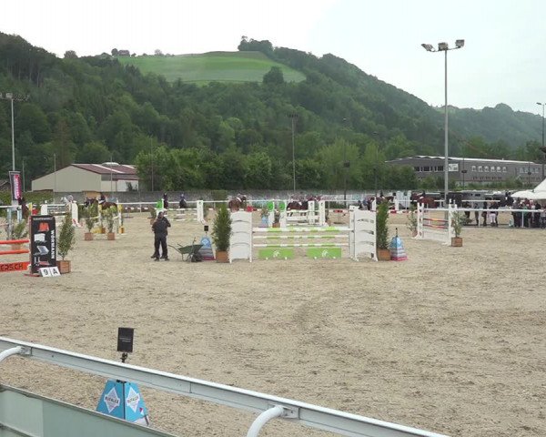 Reitturnier Münsingen 2019