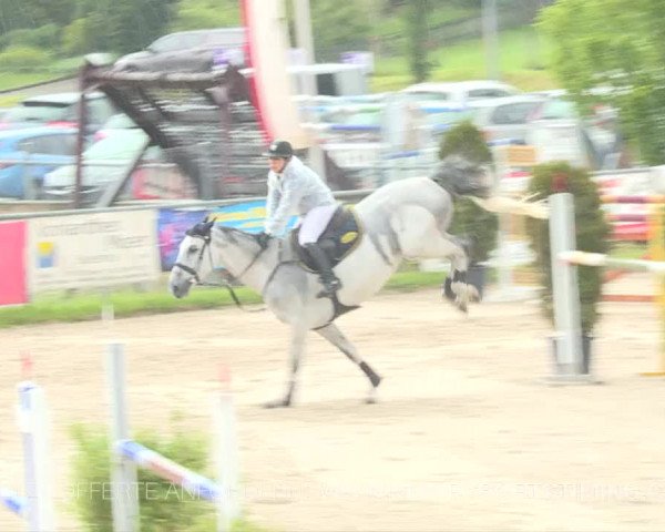 Reitturnier Plaffeien 2019