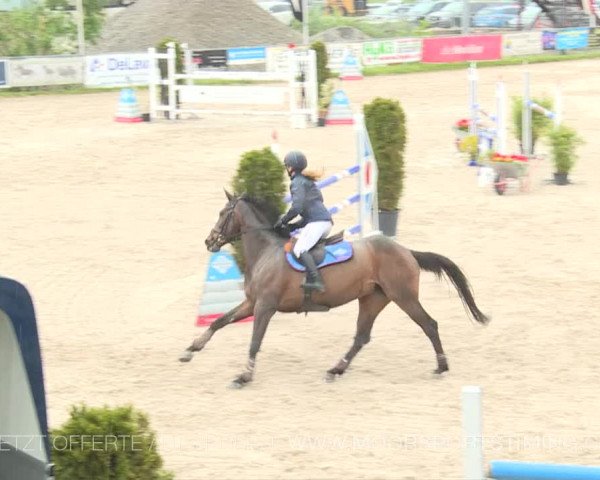 Reitturnier Plaffeien 2019