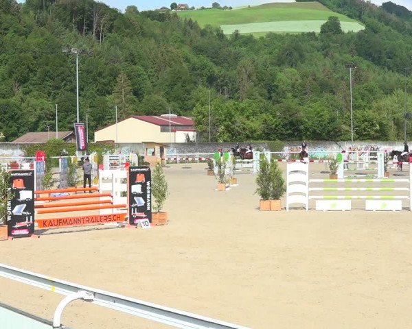 Reitturnier Münsingen 2019