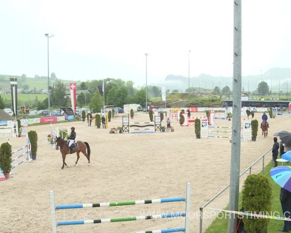 Reitturnier Plaffeien 2019