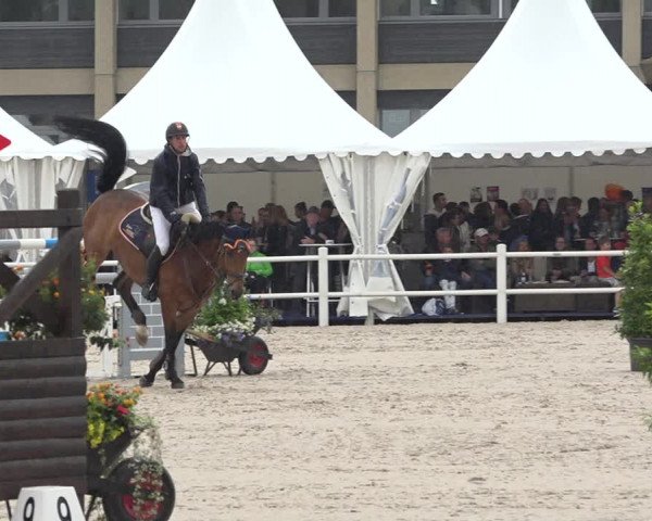 Reitturnier Zug 2019