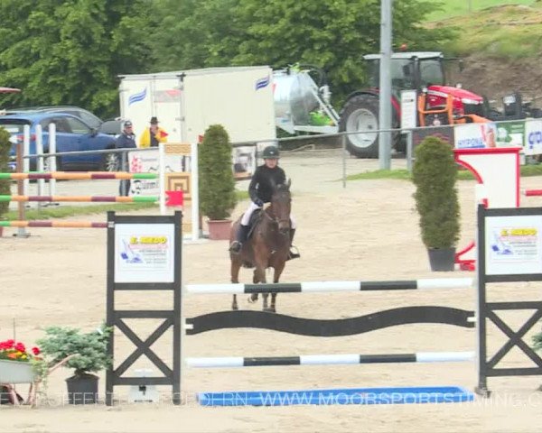Reitturnier Plaffeien 2019