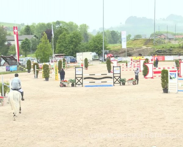 Reitturnier Plaffeien 2019