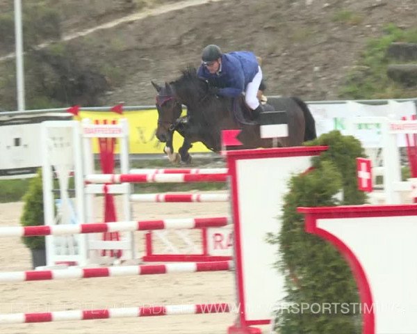 Reitturnier Plaffeien 2019