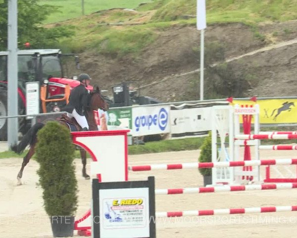 Reitturnier Plaffeien 2019