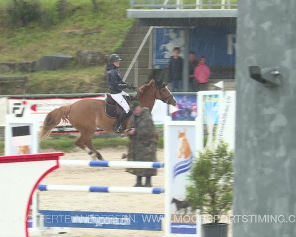 Reitturnier Plaffeien 2019