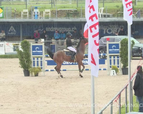 Reitturnier Plaffeien 2019