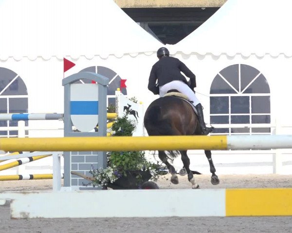 Reitturnier Zug 2019