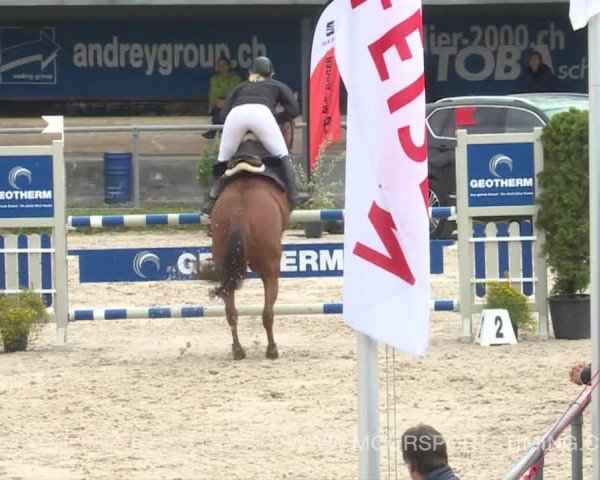 Reitturnier Plaffeien 2019