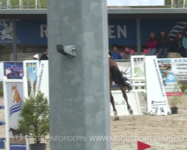 Reitturnier Plaffeien 2019