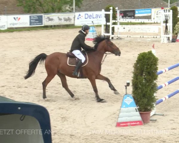 Reitturnier Plaffeien 2019